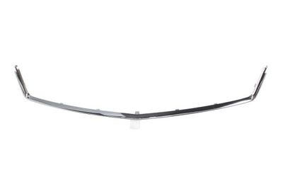 Trim/Protection Strip, radiator grille BLIC 6502-07-5052995PP