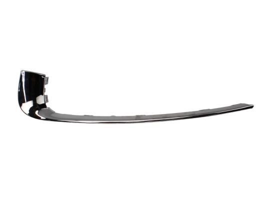 BLIC 6502-07-5079915CP Trim/Protection Strip, bumper