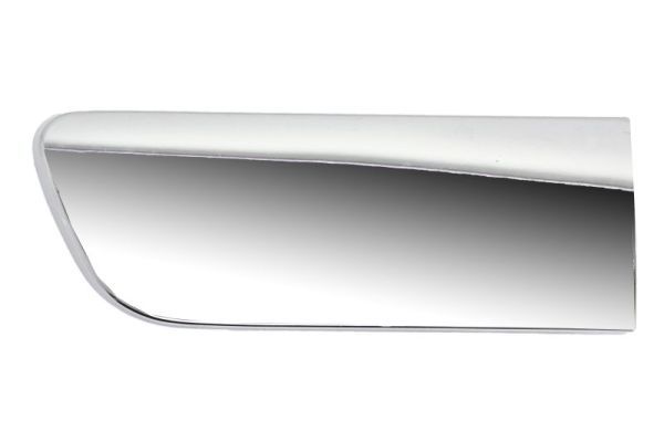 BLIC 6502-07-5501912P Trim/Protection Strip, bumper