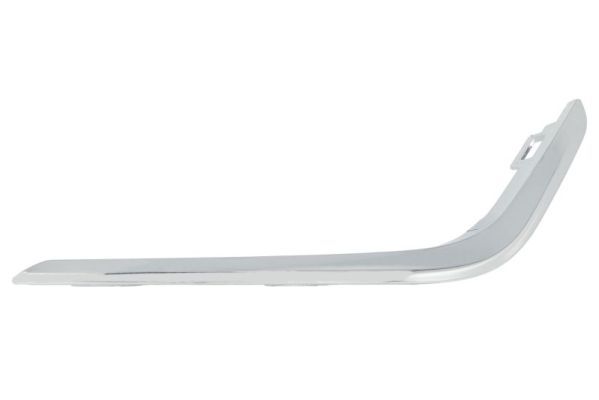 BLIC 6502-07-5501913P Trim/Protection Strip, bumper