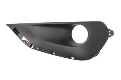 Trim/Protection Strip, bumper BLIC 6502-07-5509916Q