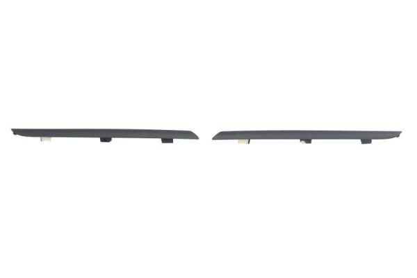 BLIC 6502-07-6034992Q Trim/Protection Strip, radiator grille