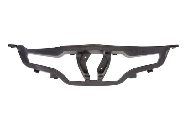 BLIC 6502-07-6034994P Support, radiator grille