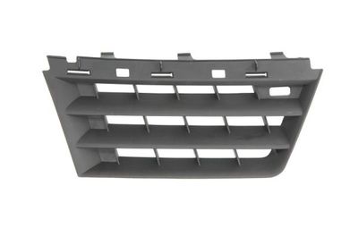 Radiator Grille BLIC 6502-07-6042992Q