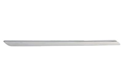 Trim/Protection Strip Set, radiator grille BLIC 6502-07-6043996P