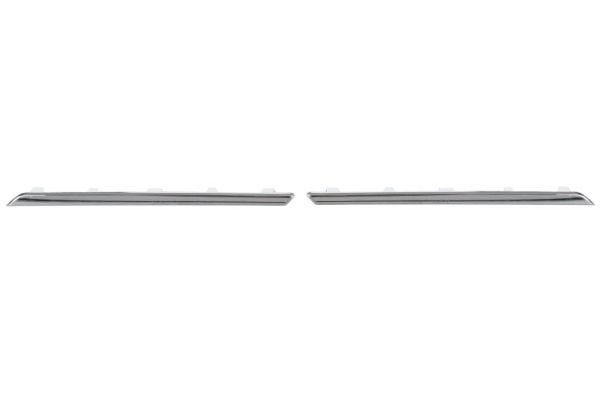 BLIC 6502-07-6043996Q Trim/Protection Strip Set, radiator grille