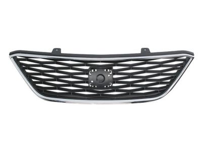 Radiator Grille BLIC 6502-07-6621992P