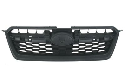 Radiator Grille BLIC 6502-07-6715994P