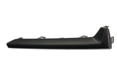 Trim/Protection Strip, bumper BLIC 6502-07-6738921P