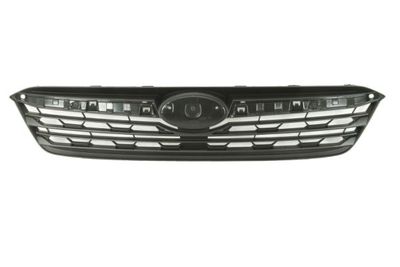 Radiator Grille BLIC 6502-07-6747991P