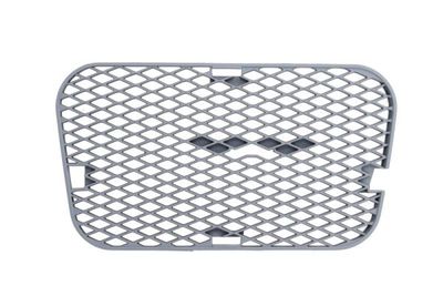 Ventilation Grilles, bumper BLIC 6502-07-6842915P