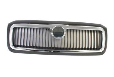 Radiator Grille BLIC 6502-07-7513993P