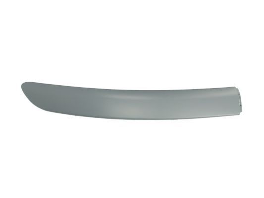 BLIC 6502-07-8109922P Trim/Protection Strip, bumper