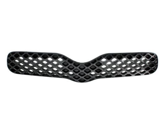 BLIC 6502-07-8109990P Radiator Grille