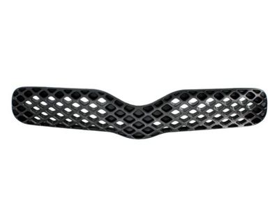 Radiator Grille BLIC 6502-07-8109990P