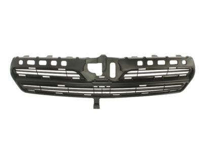 Radiator Grille BLIC 6502-07-8116994P
