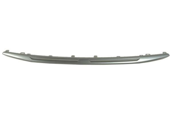 BLIC 6502-07-8168920P Trim/Protection Strip, bumper