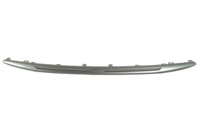 Trim/Protection Strip, bumper BLIC 6502-07-8168920P