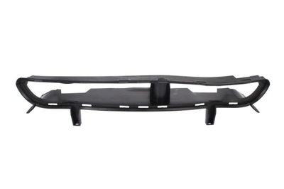 Ventilation Grilles, bumper BLIC 6502-07-9009920P