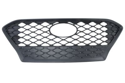 Radiator Grille BLIC 6502-07-9080990P
