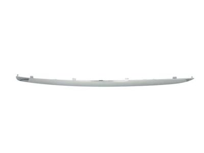 Trim/Protection Strip, bumper BLIC 6502-07-9544923P