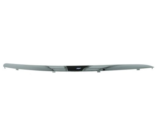 BLIC 6502-07-9544924P Trim/Protection Strip, bumper