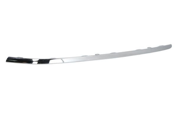 BLIC 6502-07-9547911P Trim/Protection Strip, bumper