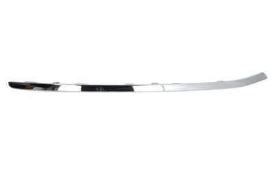 Trim/Protection Strip, bumper BLIC 6502-07-9547912P