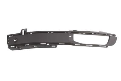 Ventilation Grilles, bumper BLIC 6502-07-9569997P