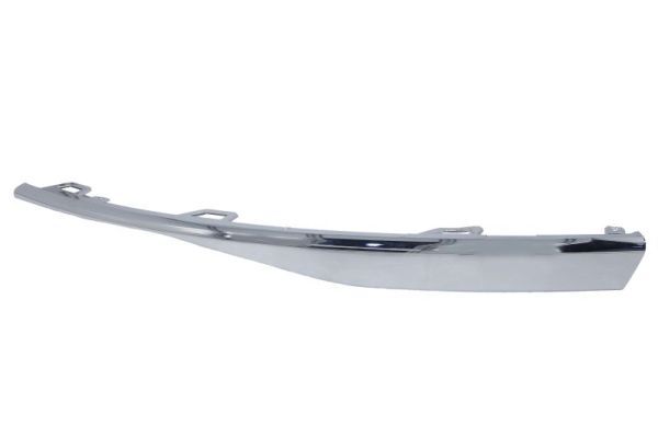 BLIC 6502-07-9572922P Trim/Protection Strip, bumper