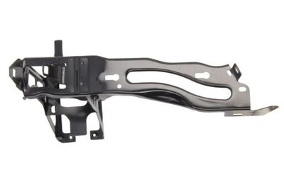 Headlight Base BLIC 6502-08-0063203P