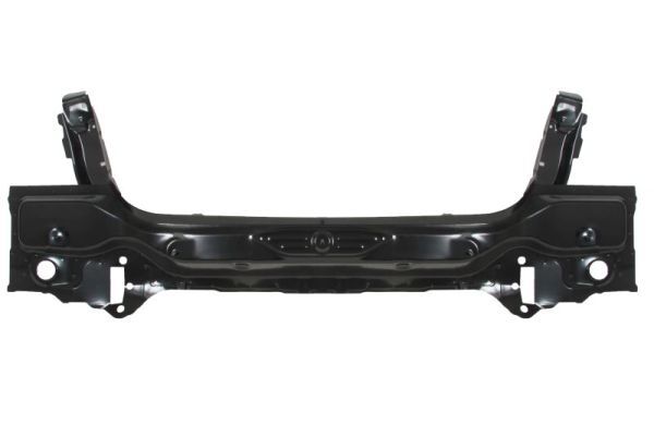 BLIC 6503-05-0068650P Rear Panel