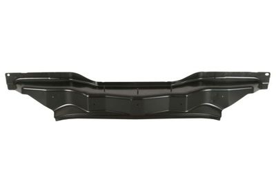 Rear Panel BLIC 6503-05-3332650P