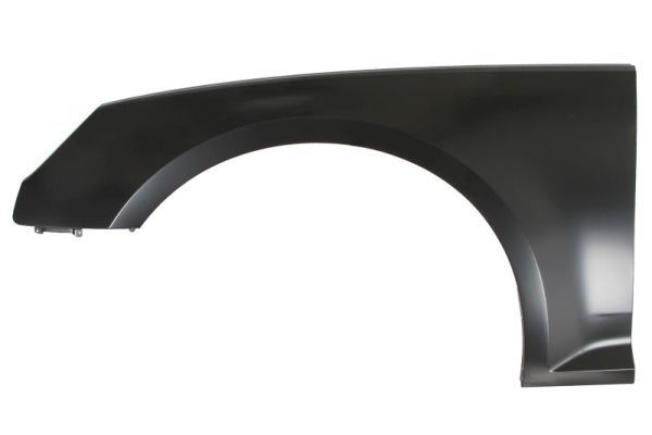 BLIC 6504-04-0030311P Wing