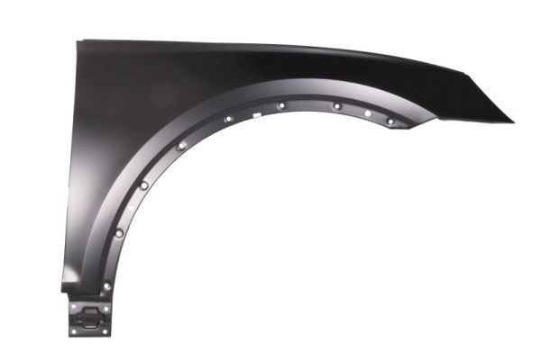 BLIC 6504-04-0036312P Wing