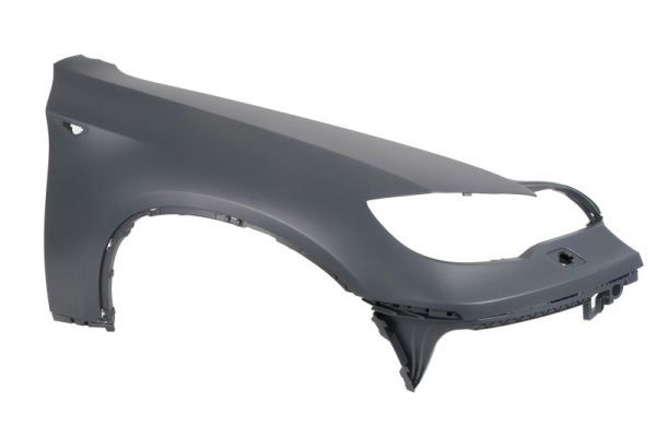 BLIC 6504-04-0099314P Wing