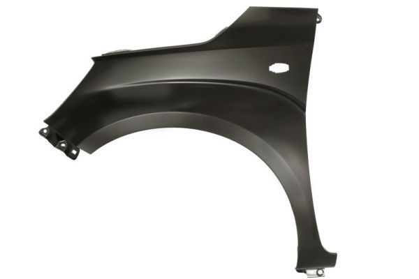 BLIC 6504-04-6819313P Wing