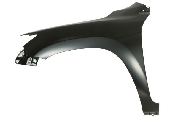 BLIC 6504-04-8179319P Wing