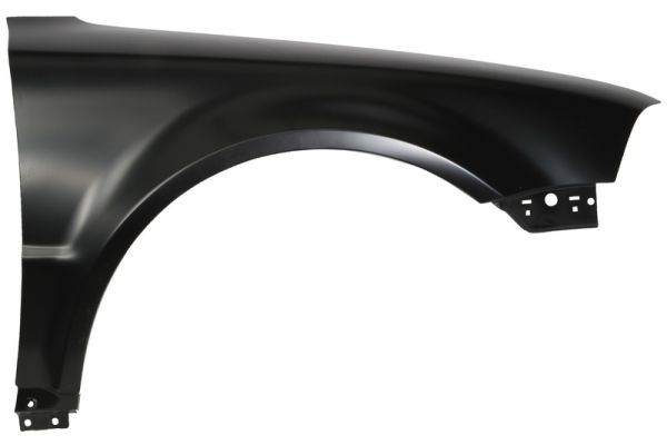 BLIC 6504-04-9539316P Wing