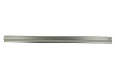 Rocker Panel BLIC 6505-06-2042017P