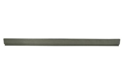 Rocker Panel BLIC 6505-06-2924011P