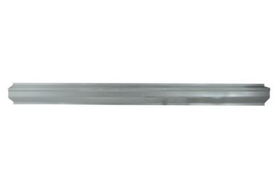 Rocker Panel BLIC 6505-06-2956010P