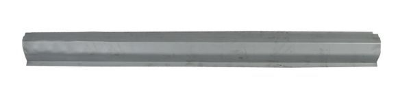 BLIC 6505-06-3211015P Rocker Panel