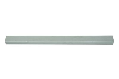 Rocker Panel BLIC 6505-06-6043010P