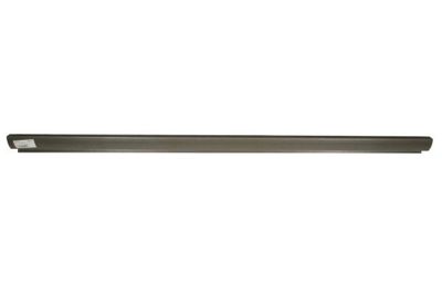 Rocker Panel BLIC 6505-06-6609015P