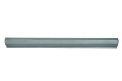 Rocker Panel BLIC 6505-06-6818015P