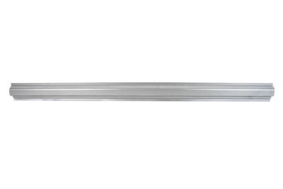 Rocker Panel BLIC 6505-06-6825015P