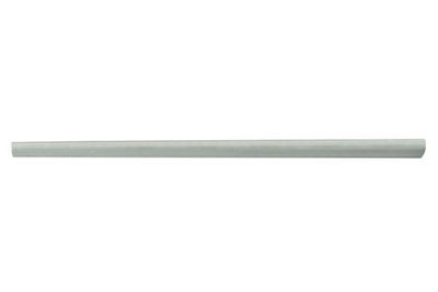 Rocker Panel BLIC 6505-06-8109013P