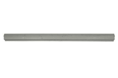 Rocker Panel BLIC 6505-06-8160010P