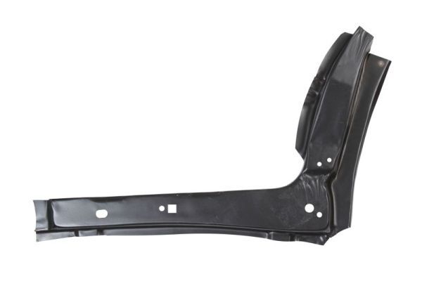 BLIC 6505-06-2509061P Entry plate